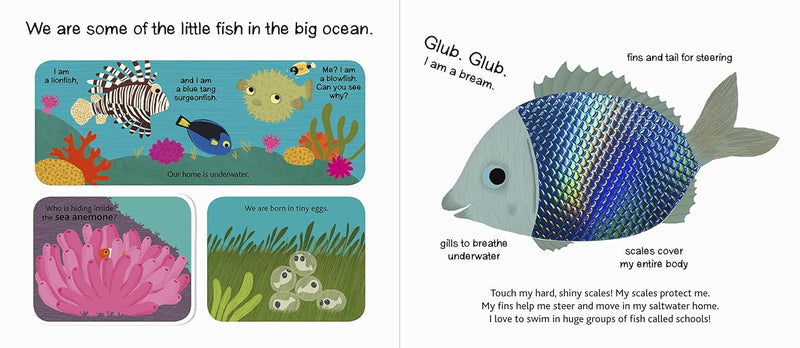 Touch and Explore The Ocean Board Book