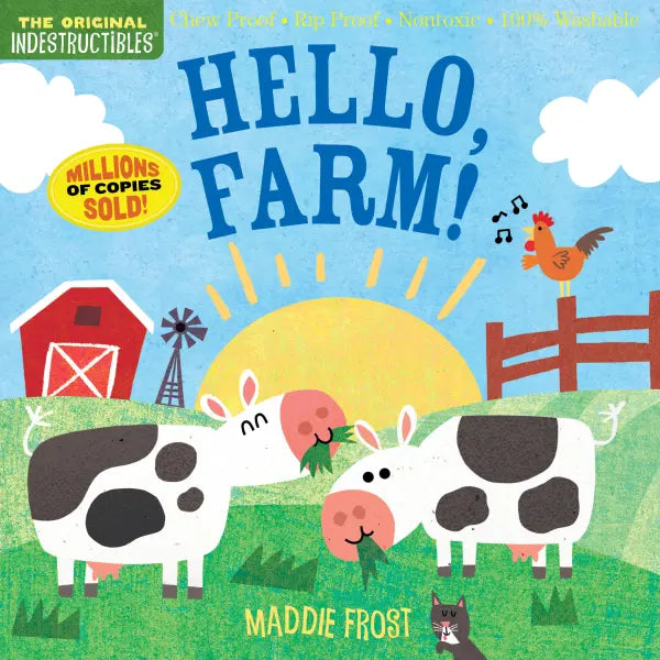 Indestructibles Children's Book