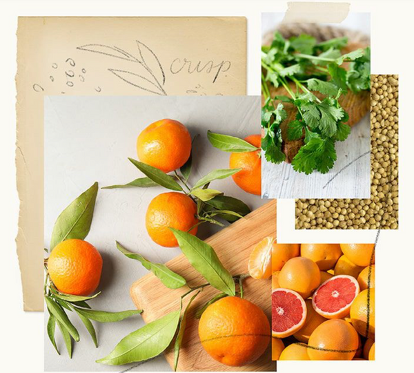 Thymes Mandarin Coriander Pura Smart Home Diffuser Refill