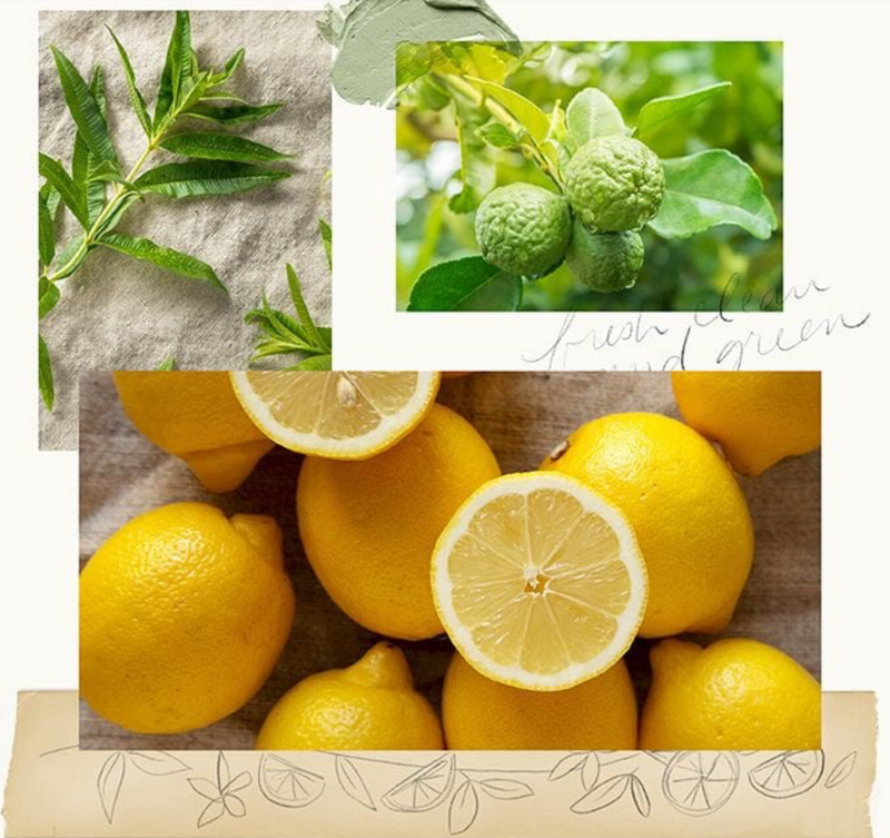 Thymes Lemon Leaf Hand Wash