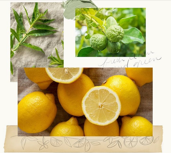 Thymes Lemon Leaf Home Fragrance Mist