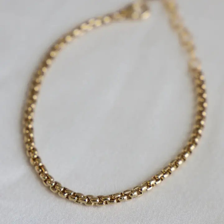 Katie Waltman Holland Round Box Chain Bracelet in gold-plated finish, showcasing its sleek, rounded box link design with a delicate lobster clasp — minimalist and versatile for everyday layering or solo wear.