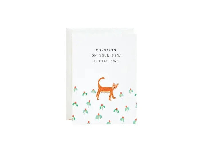 Mr. Boddington Studio- Petite Card